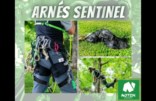 arnes_sentinel