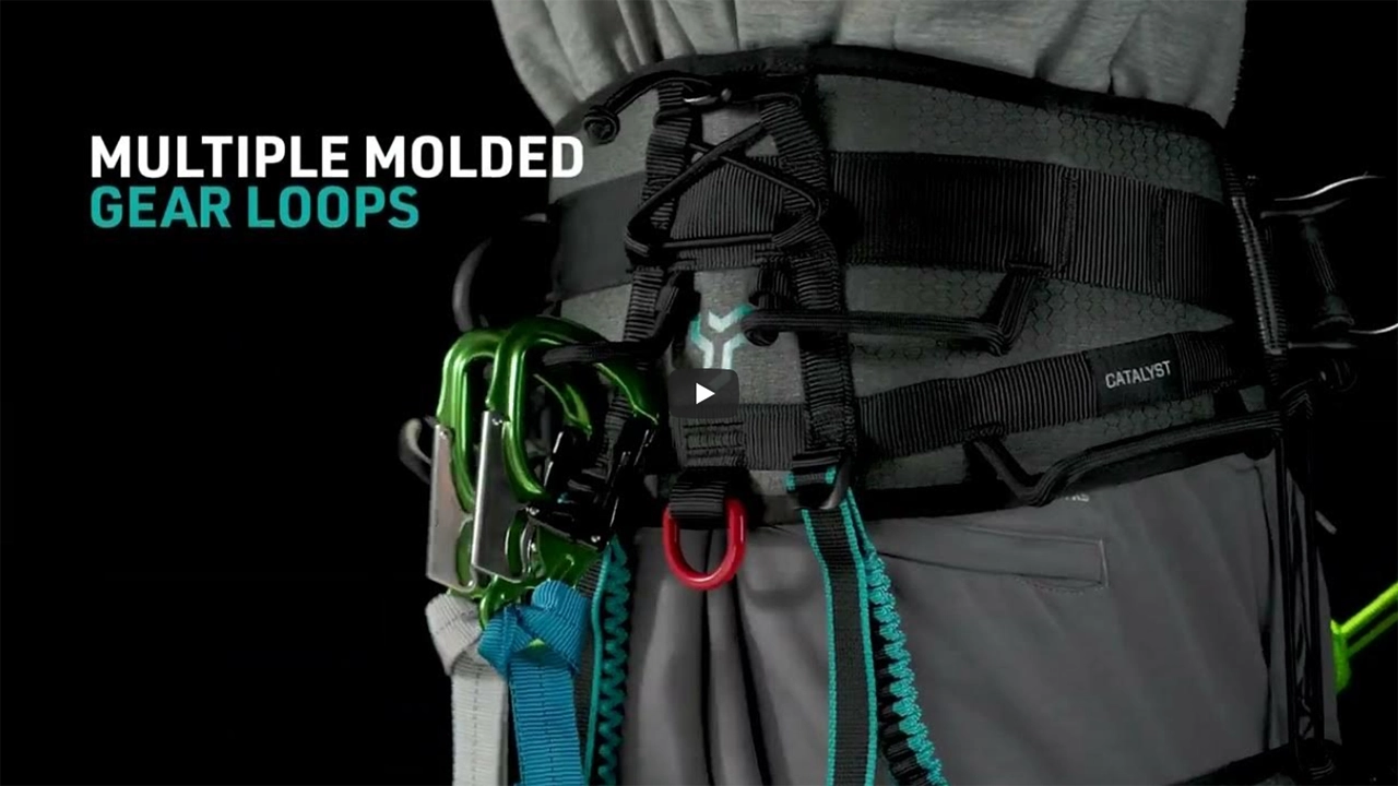 Notch Catalyst Harness