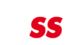 IVSS