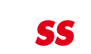 IVSS